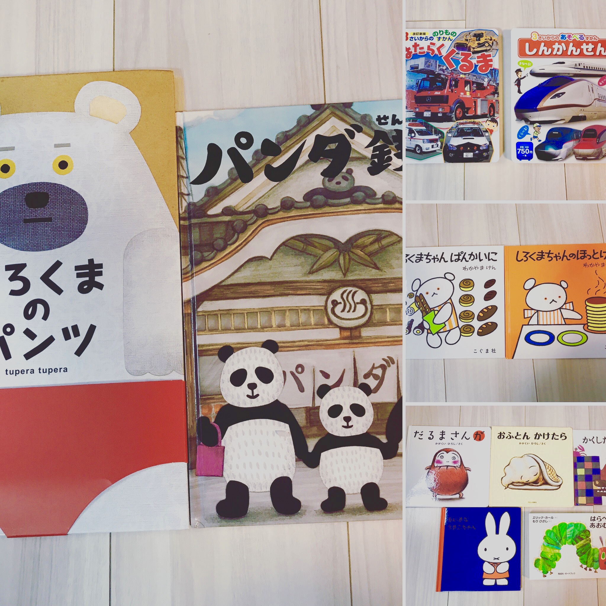 絵本と図鑑をご用意いたしました！