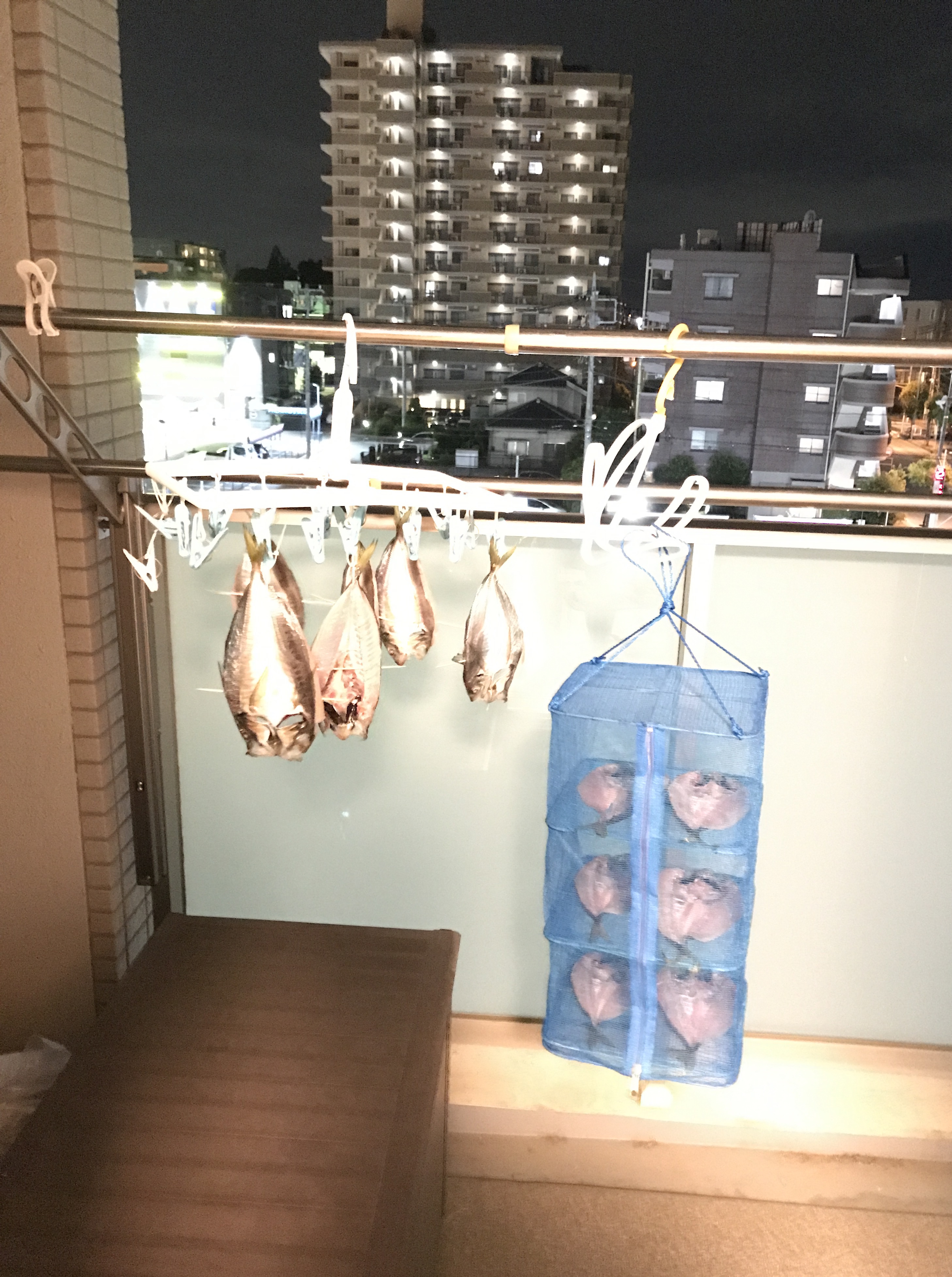 メガネとーちゃんアジの干物に挑戦！
