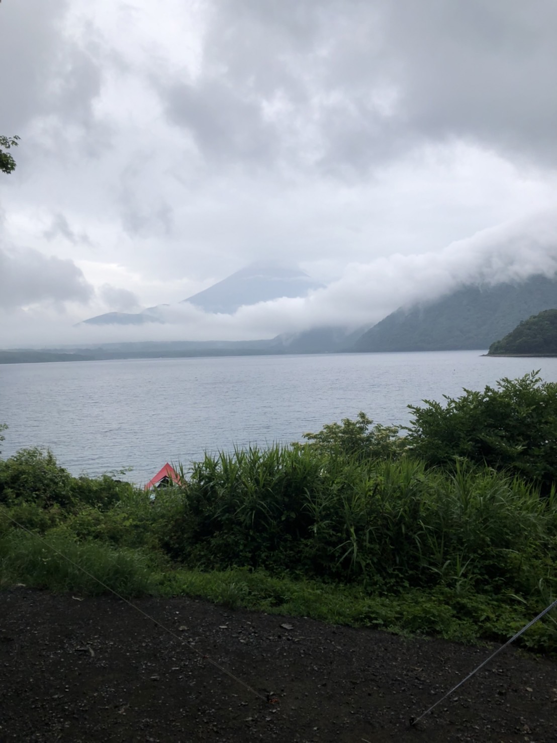 洪庵