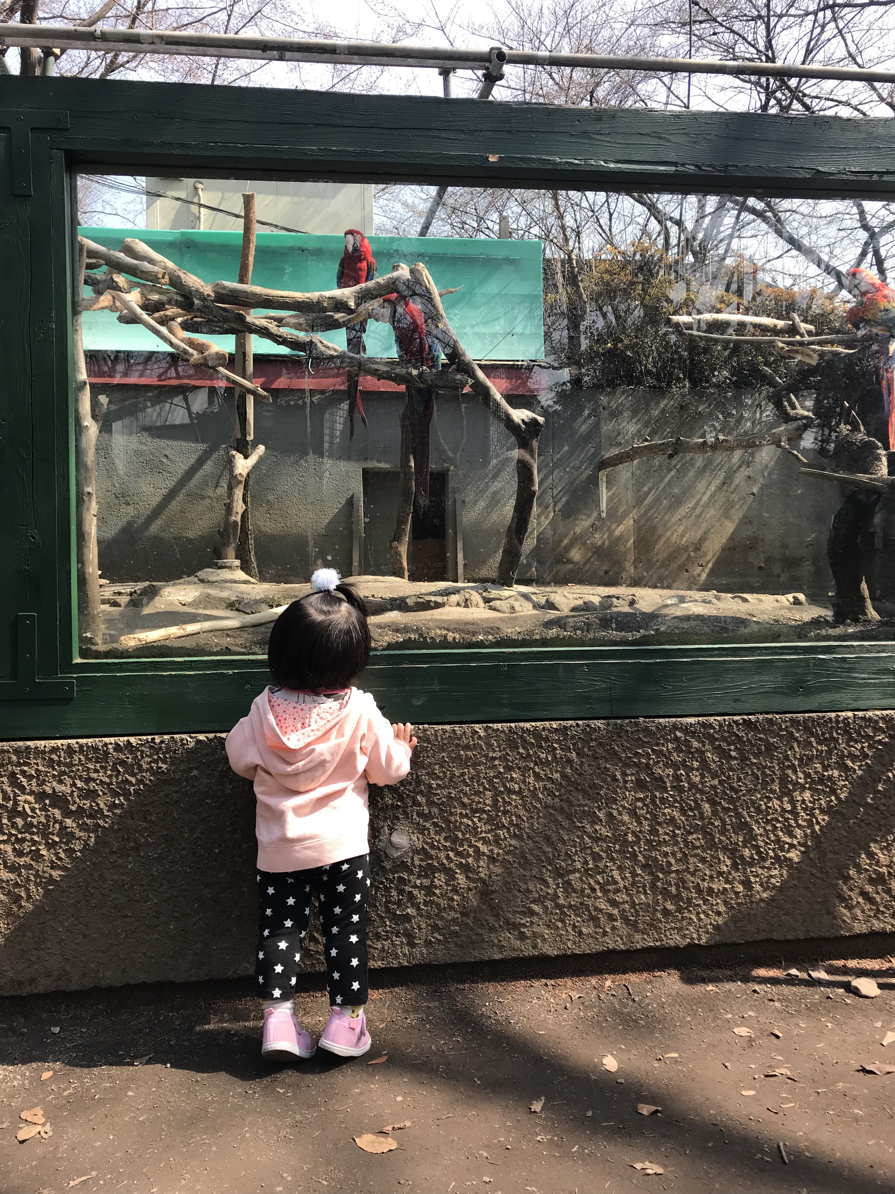 初めての動物園！